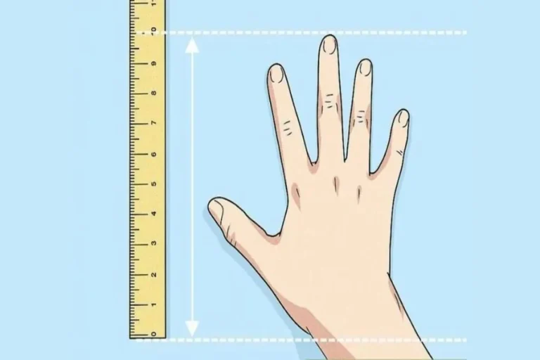 What Does 10 Inches Look Like in Real Life Examples 10 Inches